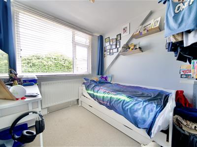 Picture 14